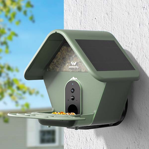 Wall Mount
