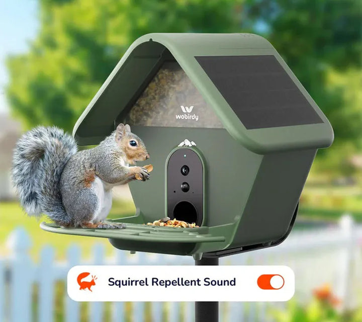 Anti-Squirrel Audio Playback