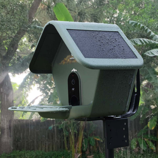 Sturdy & Weatherproof