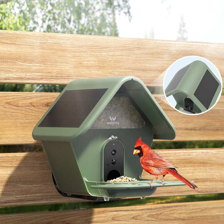 WoBirdy