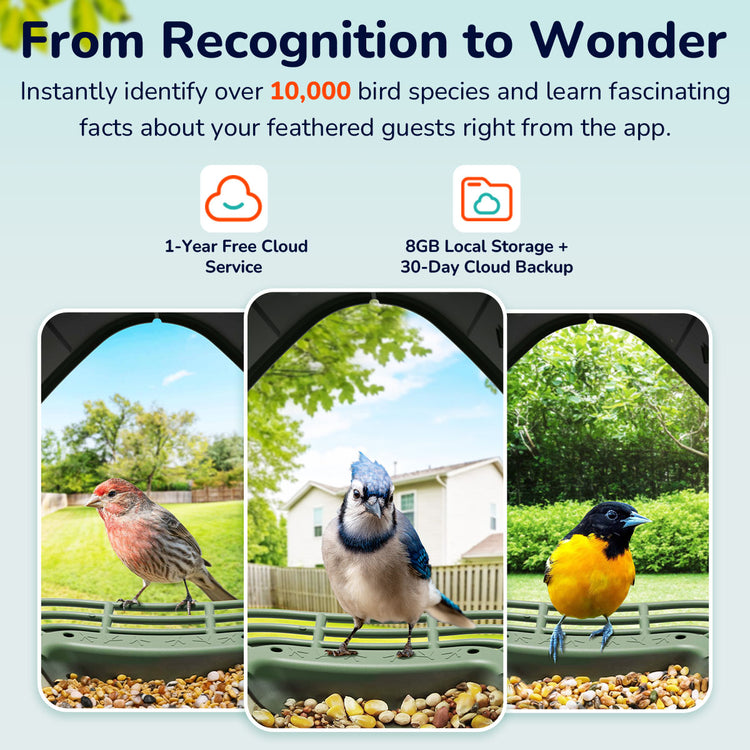 WoBirdy
