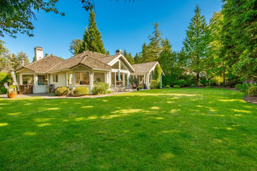 How to Create a Bird-Friendly Backyard?