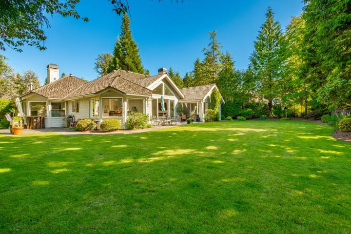 How to Create a Bird-Friendly Backyard?