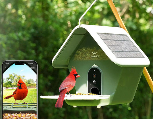 place your bird feeder camera