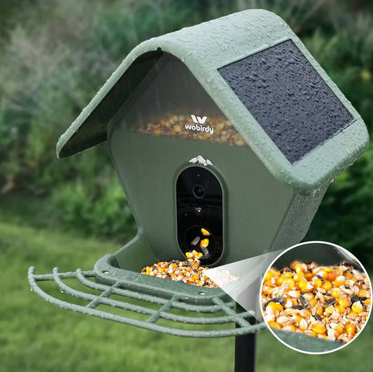 How Often Should I Fill A Bird Feeder?