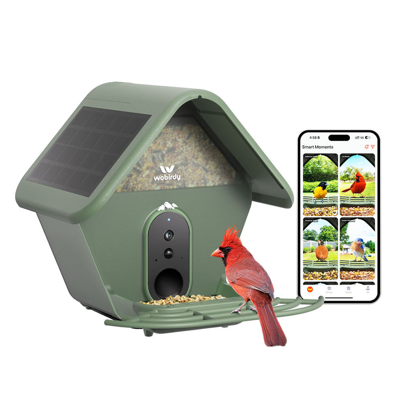 WoBirdy Smart Bird Feeder