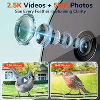 WoBirdy Smart Bird Feeder