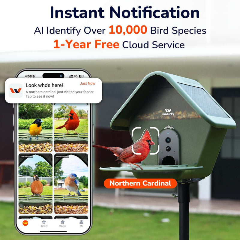 WoBirdy Smart Bird Feeder