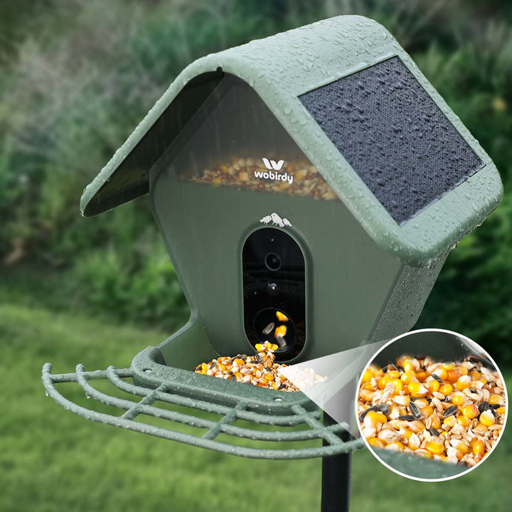 No Waste, Better For The Planet