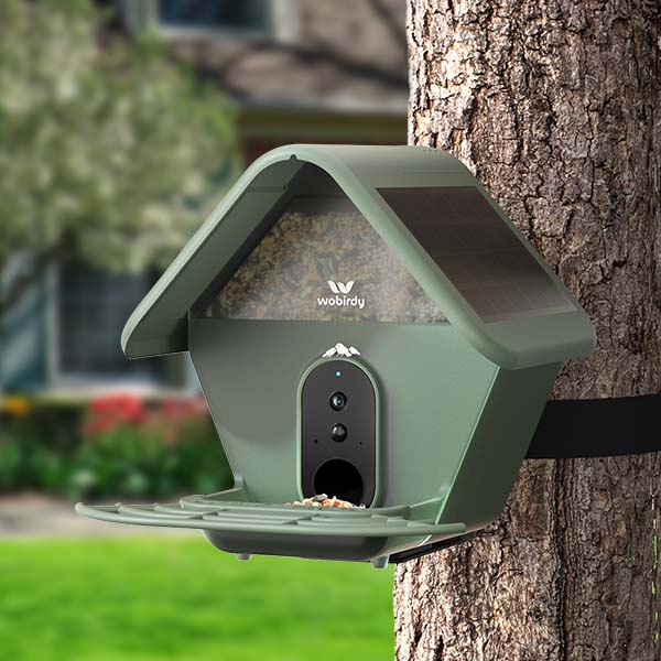 Tree Mount with Strap
