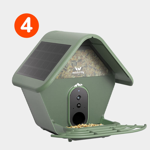 WoBirdy