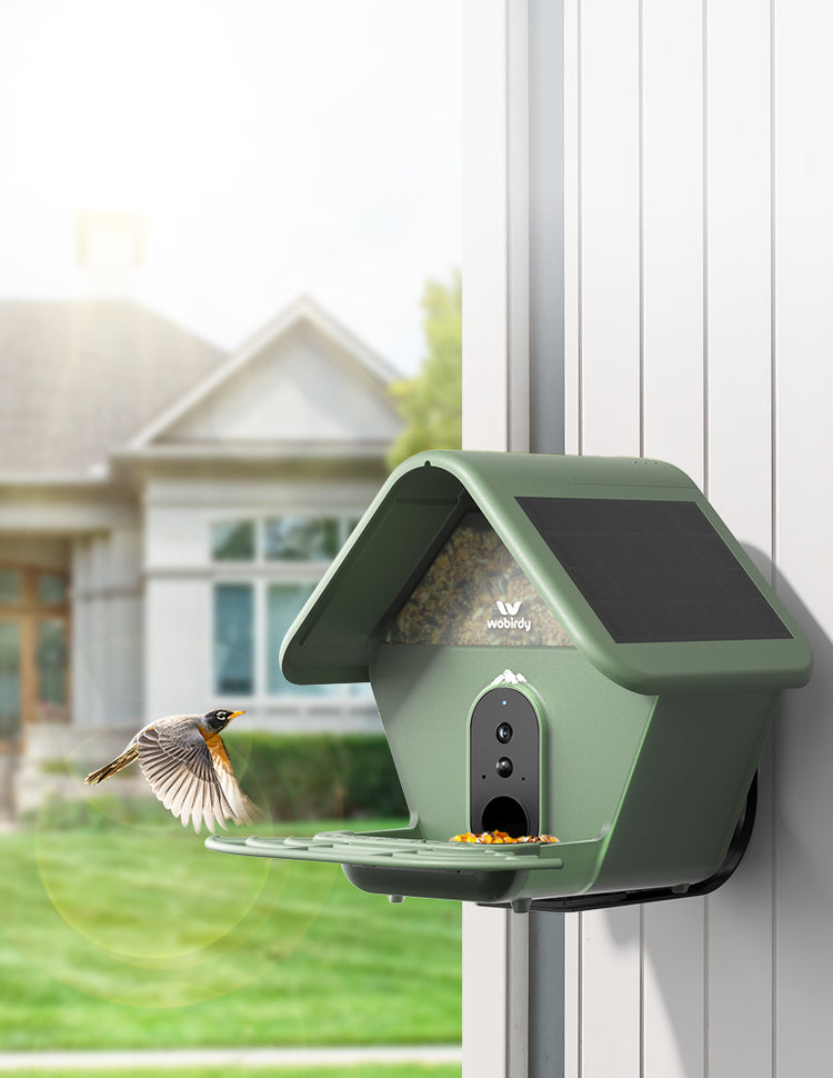 Wo Bird About WoBirdy - Our Story