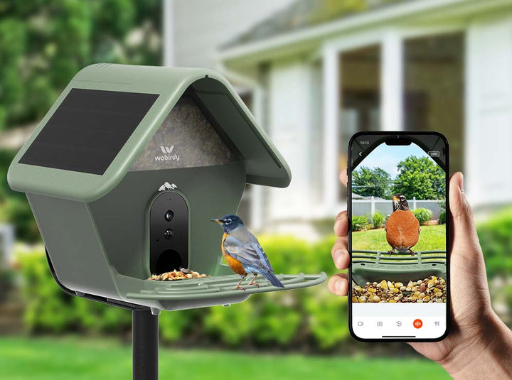Built for Birds, Designed for You