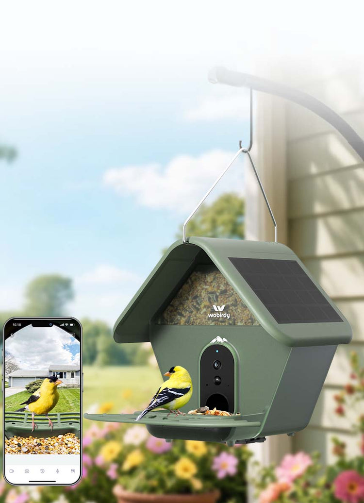 WoBirdy Feeder Quick Start Guide