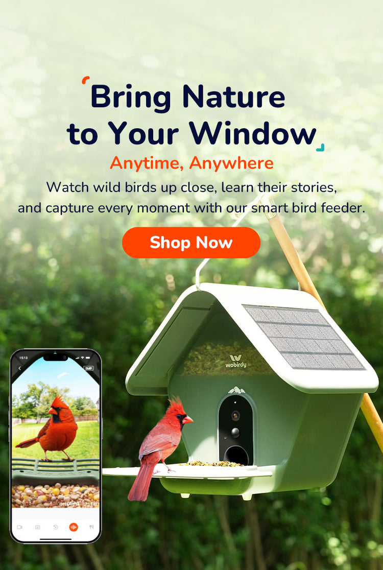 WoBirdy