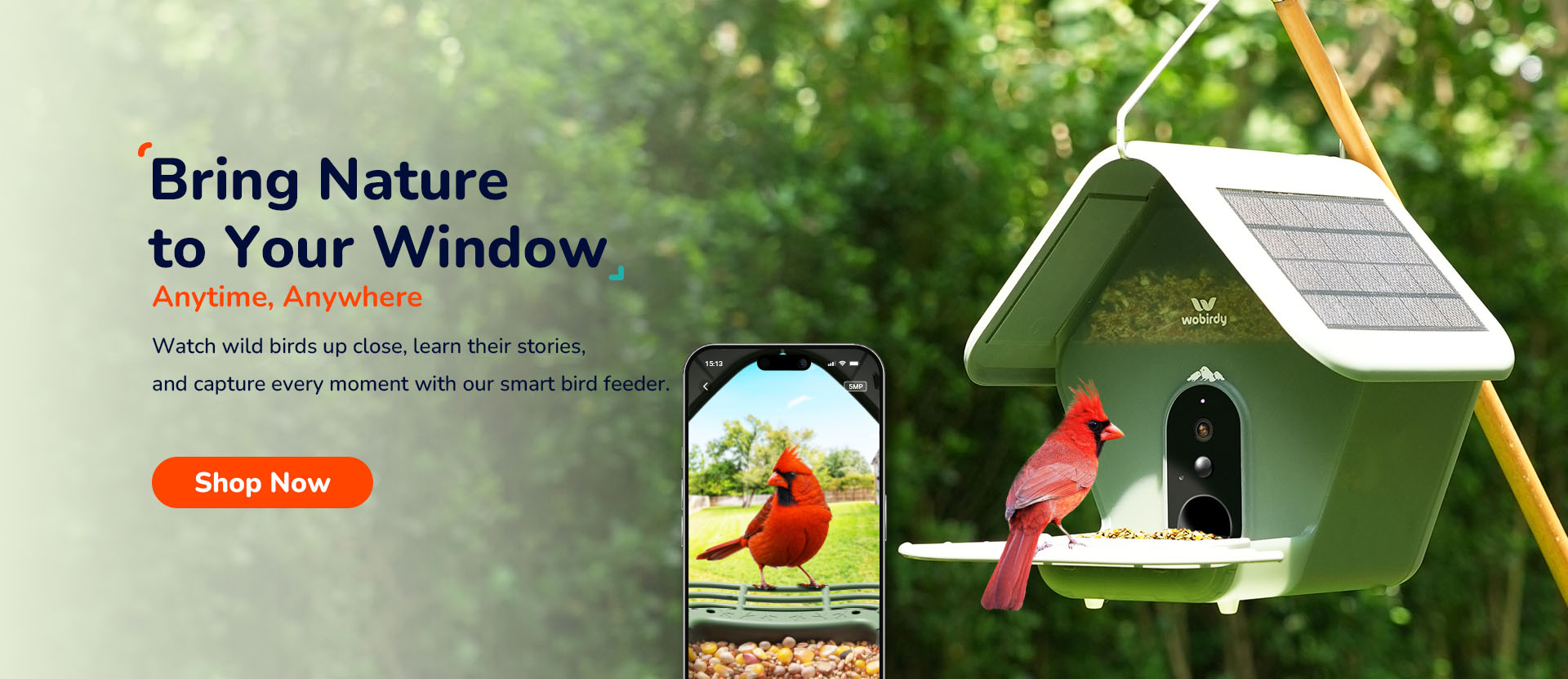 WoBirdy