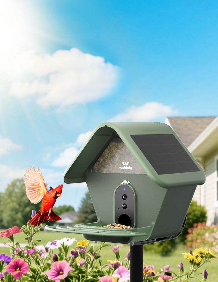 Discover Nature with Birds Knowledge